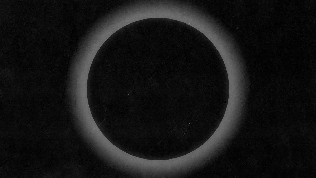 Silhouettes 10