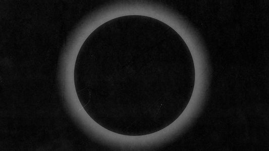 Silhouettes 10