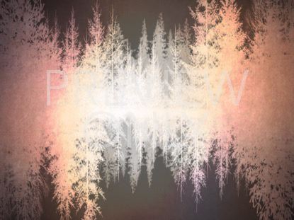 Natures Beauty 1 Still