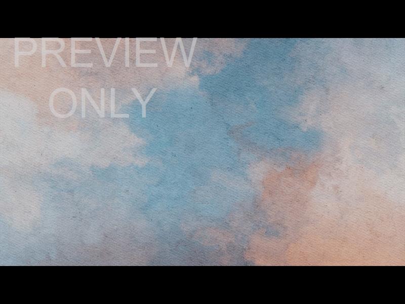 Summer Canvas Still 02