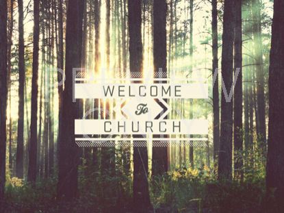 Forest Welcome Still
