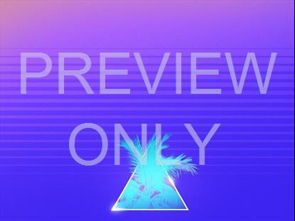 Summer Vaporwave Blueberry Icon