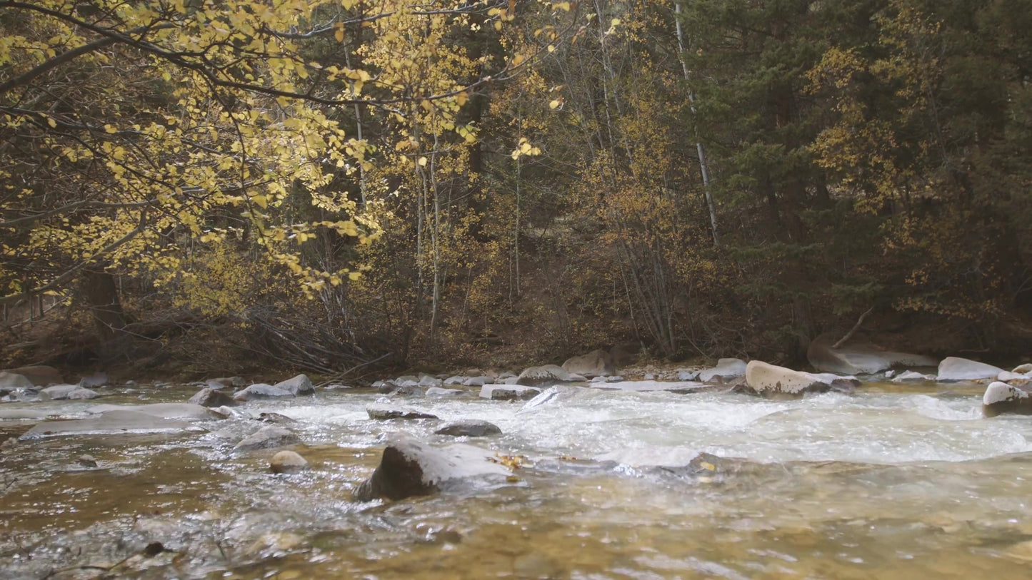 Mountain Hike 04