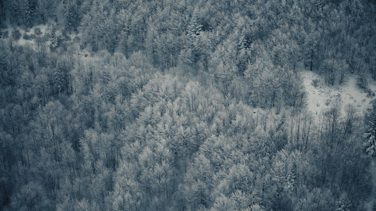 Glorious Winter 16