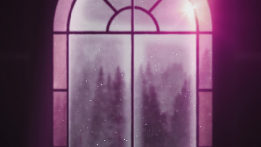 Winter Windows Stylish Still