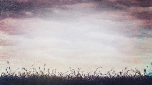 Rising Songs 6 Still