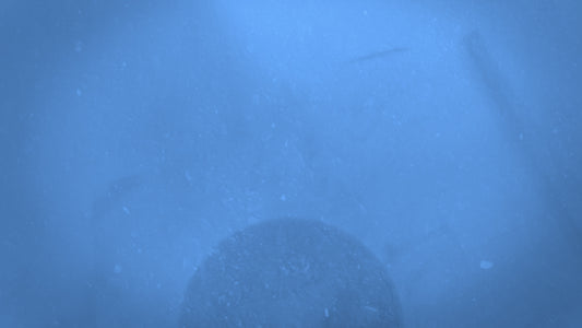 Muted Echoes Blue