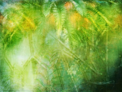 Palm Sunday