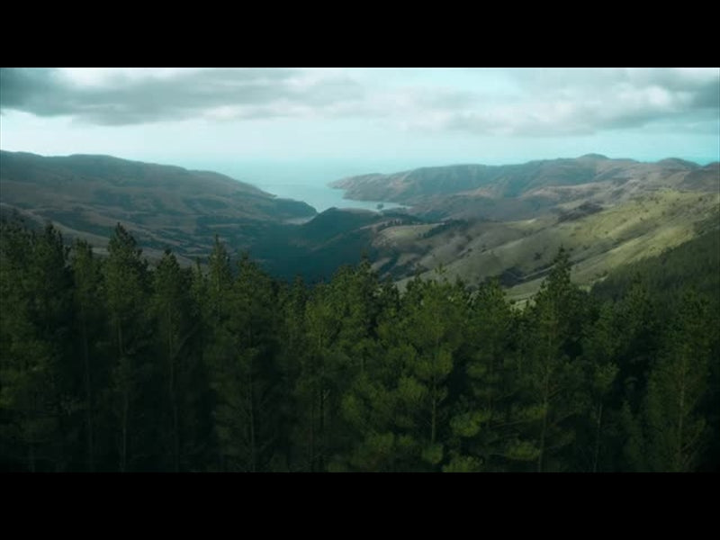 Aerial Bliss 1