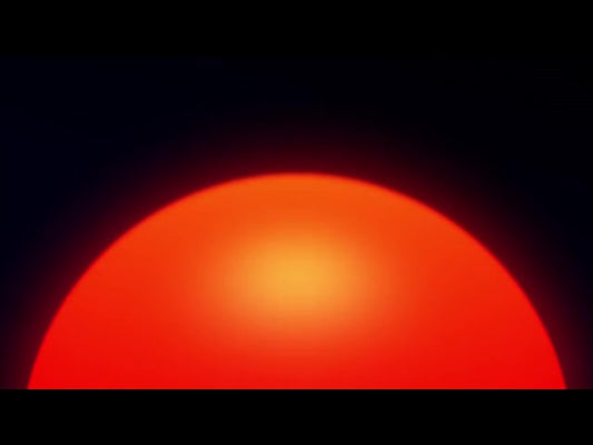 Rise 01