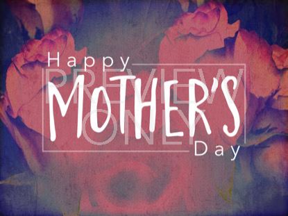 Mothers Day Roses Holiday Still