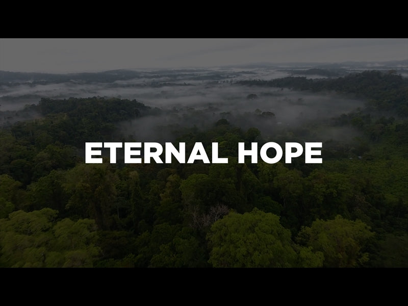 Eternal Hope