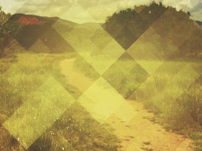 Pattern Nature Path