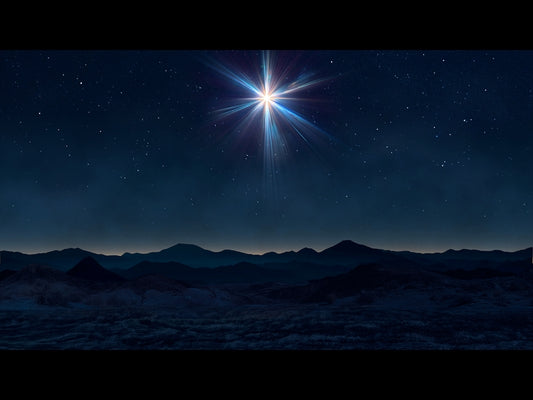 Christmas Promise 6