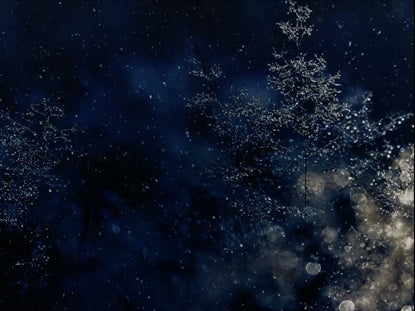 Blue Christmas