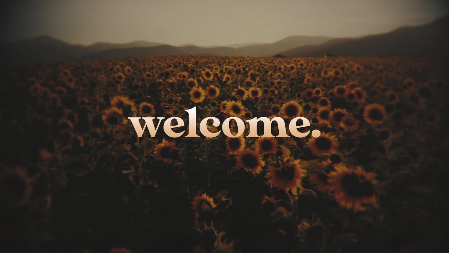 Vintage Sunflowers Welcome Still
