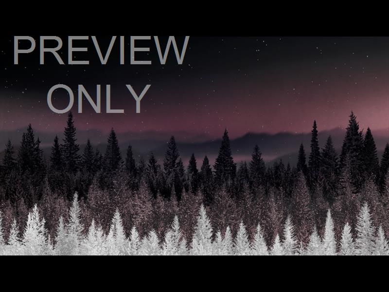 Sparkling Trees 3 Still