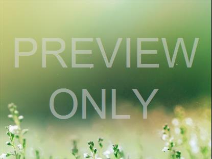 Fields Of Bloom 3
