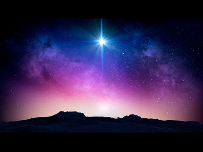 Christmas Night Nativity 12