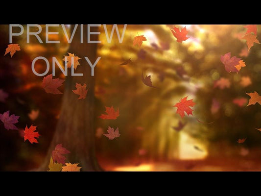 Fall Woods 20 Still
