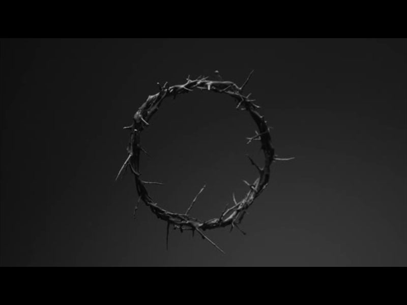 The Work Of The Son - Crown Of Thorns Blood Bw