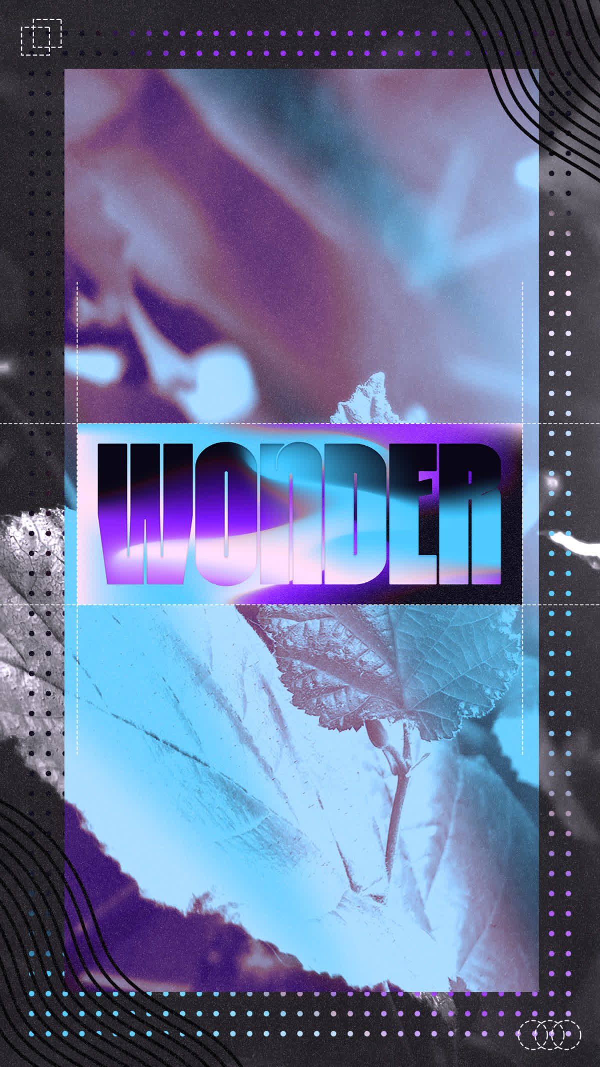 Wonder Social Title Story
