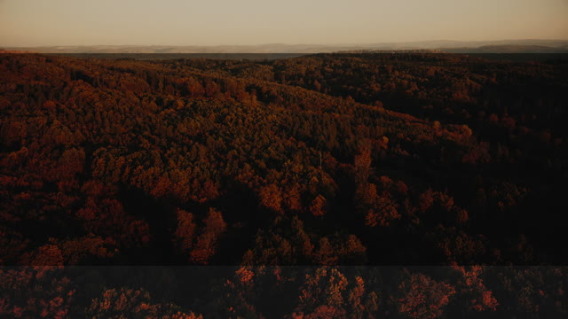 Autumn Foliage 6 Alt