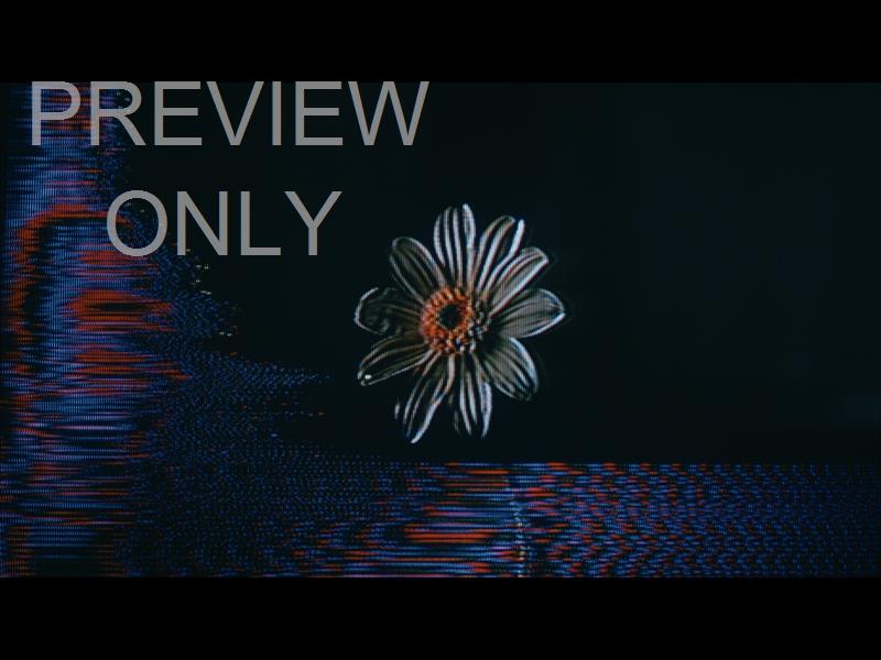 Crt Flowers 6 Still