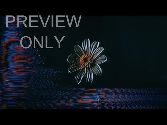 Crt Flowers 6 Still