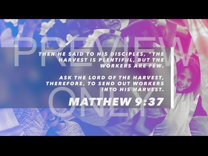 Volunteer Opportunities 01 Scripture Still