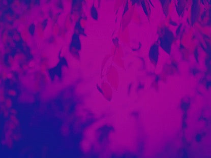 Duotone Nature Motion 3