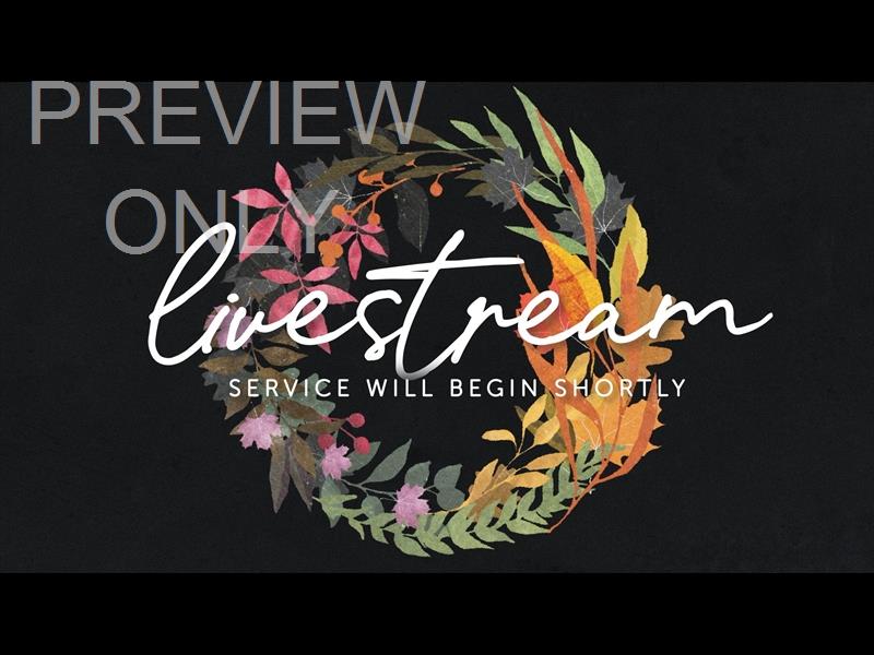 Autumn Wreath Livestream Still