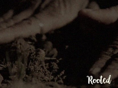 Rooted Blank Motion 02