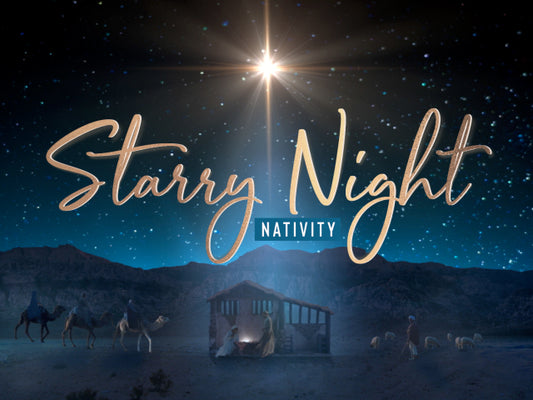 Starry Night Nativity Collection