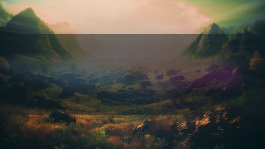 Reflective Cross 4 Bar