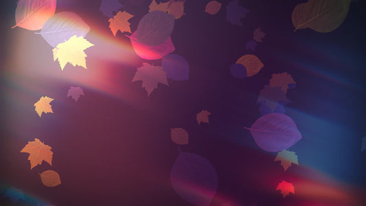 Light Leaves 02