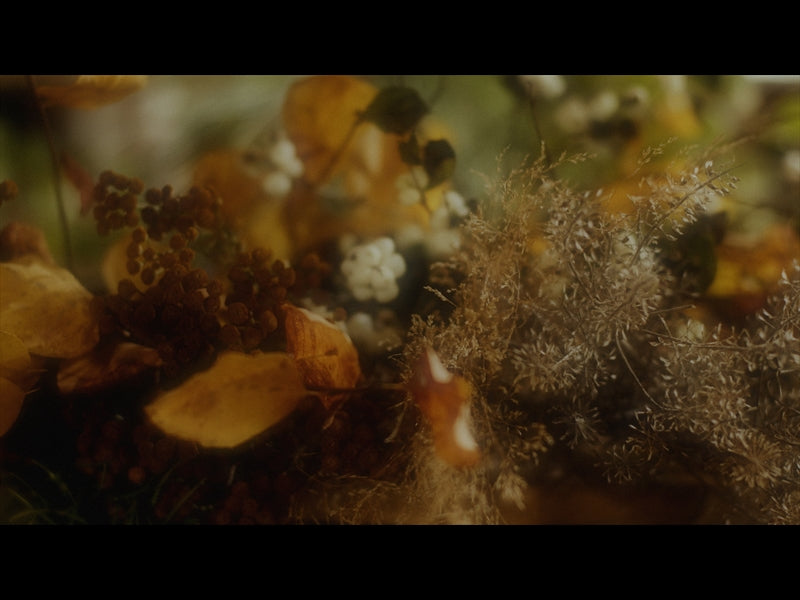 Flora Fall Loop 03