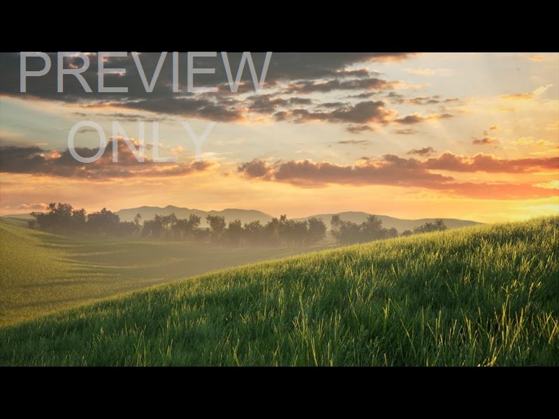 Prairie Grass Valley Still