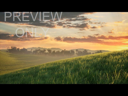 Prairie Grass Valley Still