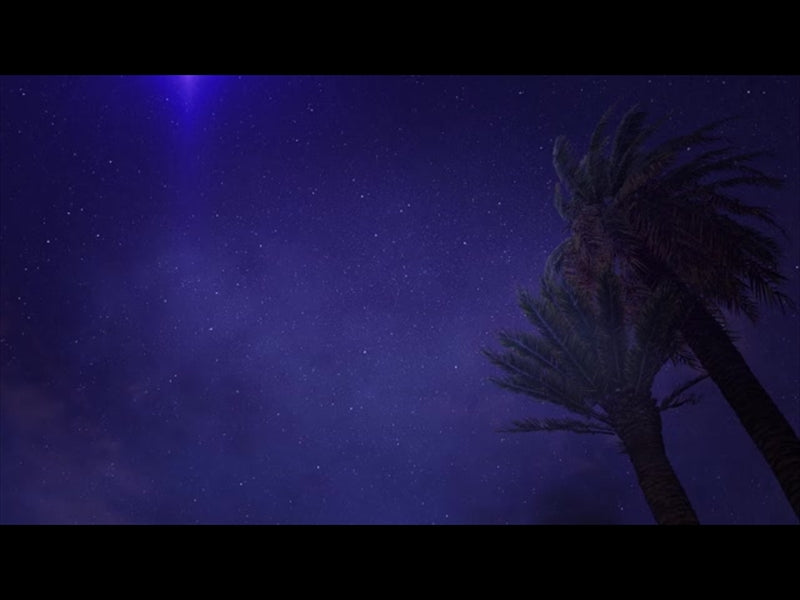 Songs Of The Savior: Palm And Star Loop