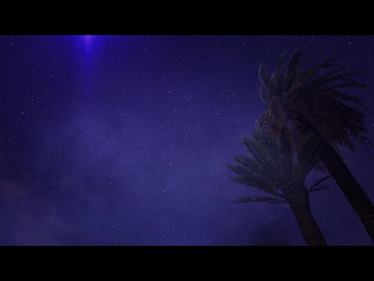 Songs Of The Savior: Palm And Star Loop
