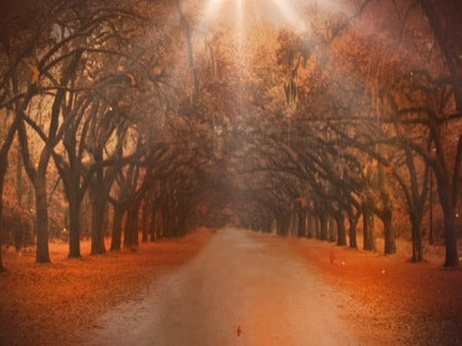 Autumn Woods