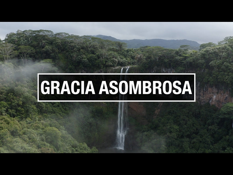 Gracia Asombrosa
