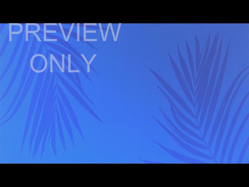 Risen Palms Still 7