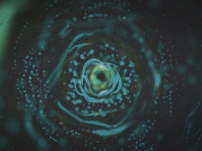 Molecular Swirl Blue