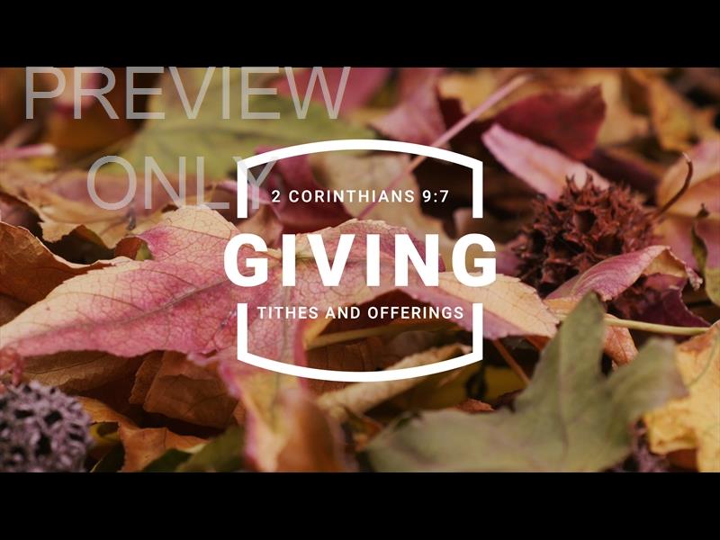 Autumn Leaves Giving Still