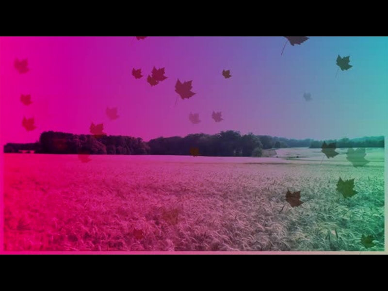 Harvest Motion Background 5