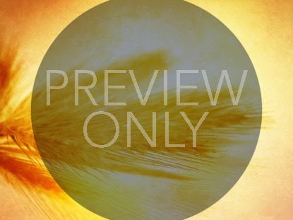 The Great Commission 5 Still