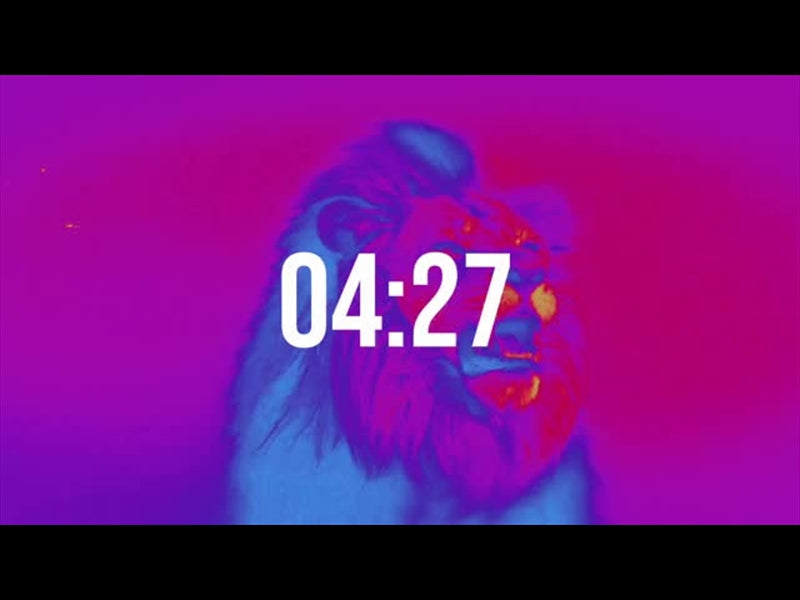 Bible Animals 2 Countdown