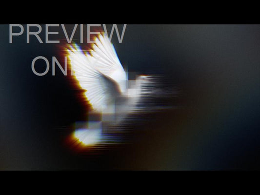 Holy Spirit Still 01